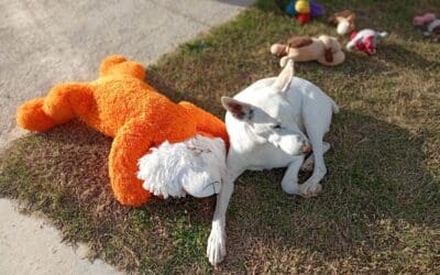 Un ratito de sol entre amigos