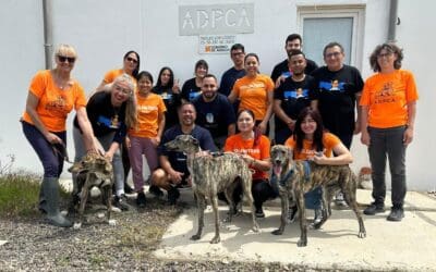 Voluntarios de AMAZON en nuestro refugio